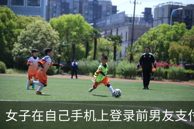 女子在自己手机上登录前男友支付宝，以1314、13140、131400等金额转走近20万元，后仅返还1314元；法院判了