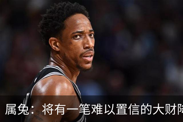 属兔：将有一笔难以置信的大财降临，2027年，你要乐开花