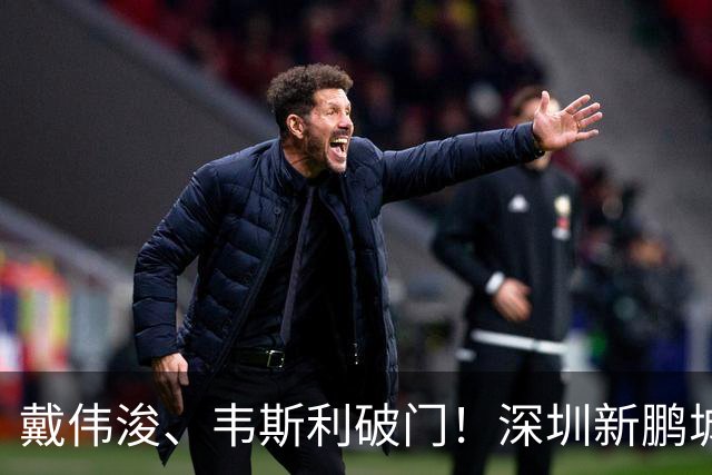 戴伟浚、韦斯利破门！深圳新鹏城主场收官战2-1上海申花