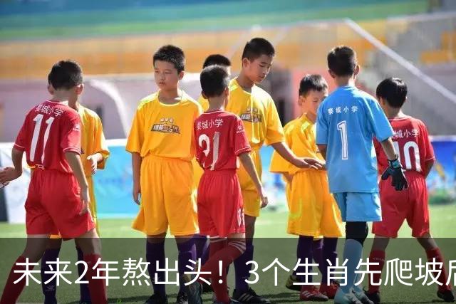 未来2年熬出头！3个生肖先爬坡后享福，稳扎稳打，晚年家底厚