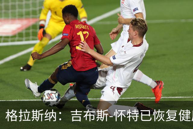 格拉斯纳：吉布斯-怀特已恢复健康，米伦科维奇也能首发
