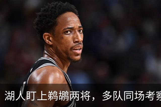 湖人盯上鹈鹕两将，多队同场考察墨菲与琼斯