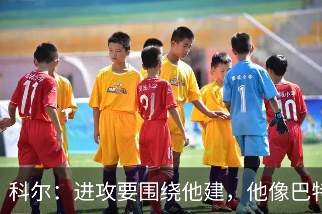 科尔：进攻要围绕他建，他像巴特勒